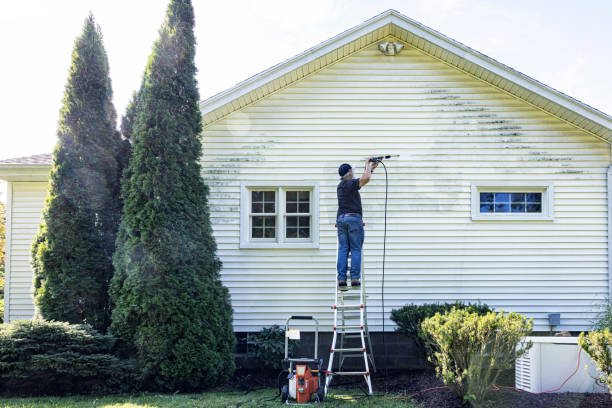 Best Affordable Pressure Washing  in Clayton, IN