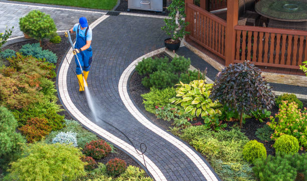 Best Roof Power Washing Services  in Clayton, IN